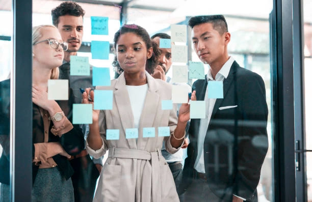 Project Management and Organizational Effectiveness