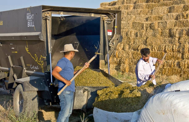 Postharvest Management and Processing Short Courses