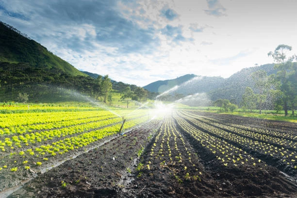 Irrigation and Water Management Short Courses